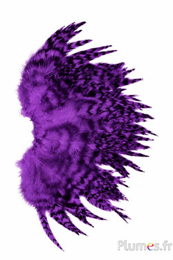 Haan chinchilla - 9-13 cm - aubergine